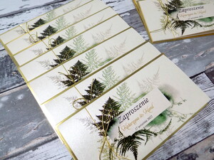 Zaproszenia ślubne eleganckie Leśna Paproć