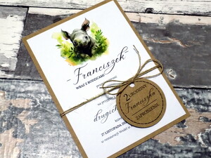 Zaproszenia urodzinowe ze zwierzątkami / safari / nosorożec